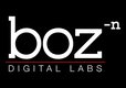 Boz Digital Labs Big Beautiful Door VST